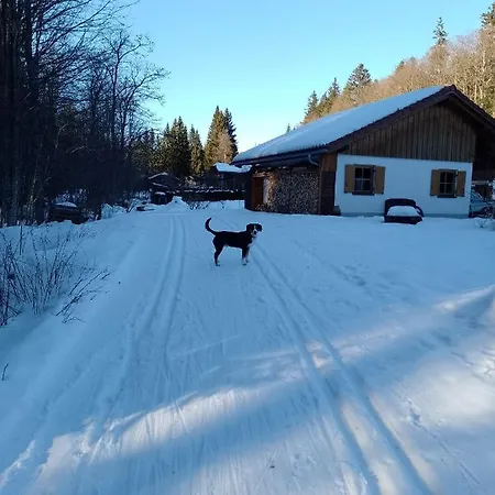 Hüttenzauber Ferienwohnung mitten im Nationalpark Lindberg Exterior foto