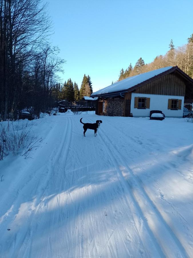 Apartment Huettenzauber Mitten Im Nationalpark