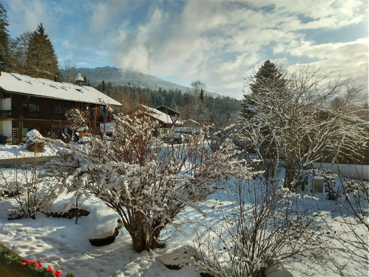 Apartment Huettenzauber Mitten Im Nationalpark Lindberg